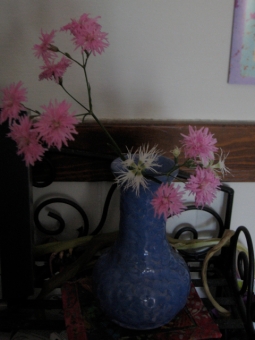 New vase with dianthus 'Rainbow Loveliness' and ragged robin on 7 June: First garden bouquet of the year